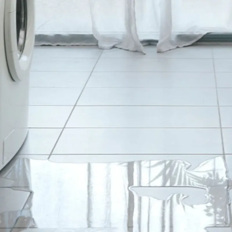 Appliance Leak Cleanup in Jasper, TX