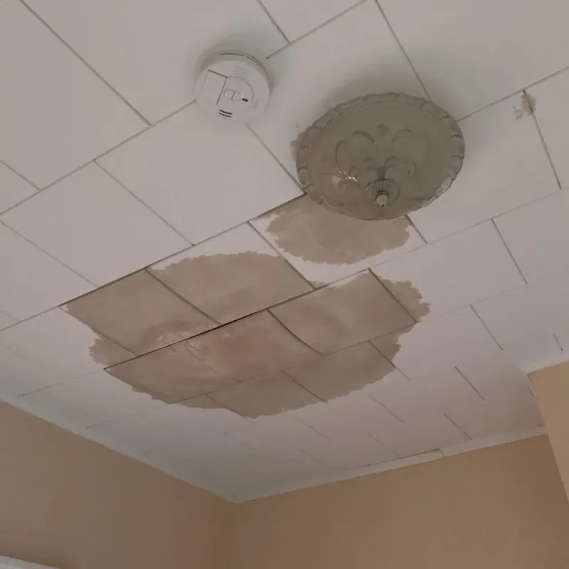 Ceiling Water Damage Repair in Jasper, TX