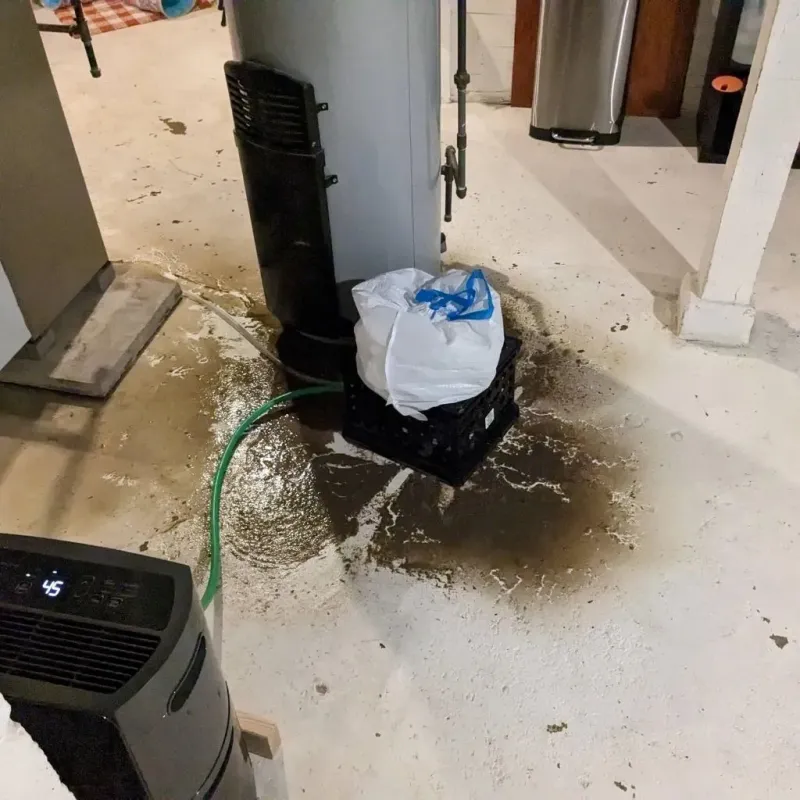 Sewage Backup Cleanup Service in Jasper, TX